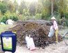 Hướng dẫn ủ phân trâu bò bằng chế phẩm EM