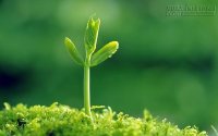 10 SỰ THẬT KHẮC NGHIỆT GIÚP BẠN TRƯỞNG THÀNH