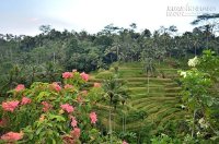 12 điều bạn không nên bỏ qua khi du lịch Bali