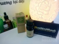 3 loại tinh dầu giúp ích cho người mắc bệnh về đường hô hấp