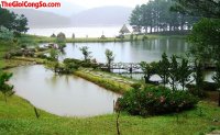 Điều gì khiến du lịch Đà Lạt thu hút nhiều du khách?