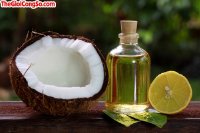 Trị gàu bằng dầu dừa pha nước cốt chanh