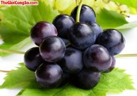 Tác dụng bất ngờ của nho trong làm đẹp