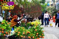 Những điều cần lưu ý khi đi du lịch vào Tết nguyên đán