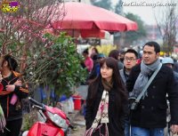 Kinh nghiệm khi đi du lịch Tết