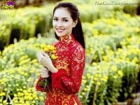 Gam màu may mắn cho trang phục Tết