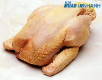 Cách nhận biết gà bị bơm nước và nhuộm vàng