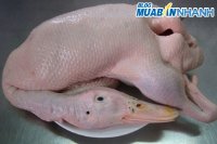 Cách chọn vịt ngon