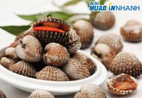 Cách chọn sò ốc