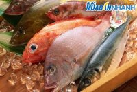 Cách nhận biết cá bị nhiễm độc