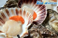 Cách rửa sạch ngao, sò, ốc