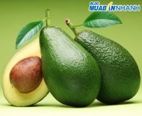 Chọn bơ tươi ngon
