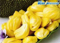 Mẹo để nhựa mít không dính vào tay
