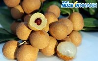 Cách lựa chọn nhãn