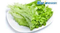 Cách xử lý rau diếp (xà lách Đà Lạt) bị mềm nhũn