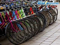 Bí quyết lựa chọn mua xe đạp