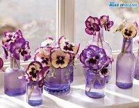Cách làm sạch đồ thủy tinh