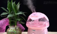 Mẹo sử dụng máy làm ẩm không khí