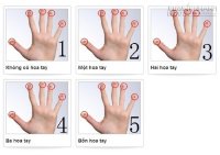 Xem tướng quý nhân phù trợ qua hoa tay