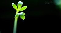 Làm kinh doanh: Không bao giờ được quên điểm xuất phát