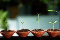 4 điều khởi nghiệp viên cần biết khi thuê những nhân sự đầu tiên