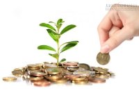 Các vườn ươm có thật sự cần thiết cho sự thành công của startup?