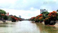 Kinh nghiệm du lịch Hải Phòng (Phần 1)