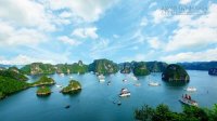 Kinh nghiệm du lịch Cát Bà