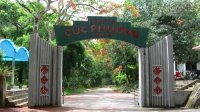 Khám phá rừng quốc gia Cúc Phương huyền bí