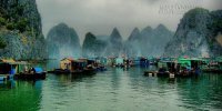 Ghé thăm làng chài đẹp nhất thế giới ở vịnh Hạ Long
