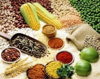Bí quyết khai thác thực phẩm giúp tinh thần vui vẻ
