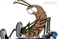 Đợi đi giầy đã