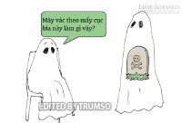 Ma cũng tuân thủ luật giao thông