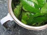 Hướng dẫn chế sữa rửa mặt từ trà xanh
