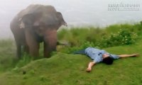 Giải mã giấc mơ thấy vụ giẫm đạp & ngủ nằm mơ mình bị giẫm đạp