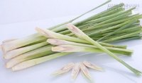Cách trồng cây sả: vừa làm cảnh, vừa đuổi muỗi trong nhà