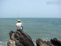 [Mẹo] - Chọn thời điểm câu cá