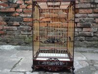 [Mẹo] - Các phụ kiện cần thiết khi nuôi chim