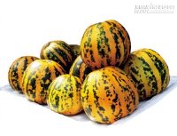 Dưa bở đặc trị da khô trong mùa hè