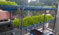 9x làm giàu từ thùng xốp trồng rau
