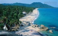 Nghỉ dưỡng detox ở Koh Samui