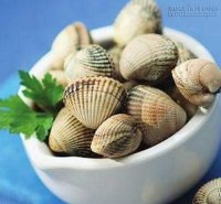 Tăng sức dẻo dai nhờ sò huyết