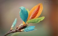 LÀM NHỮNG ĐIỀU MÌNH THÍCH KHI CÒN CÓ THỂ !