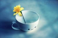 10 NGUYÊN TẮC SỐNG NGÀY HÔM NAY