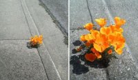9 SỰ THẬT KHẮC NGHIỆT CỦA CUỘC SỐNG