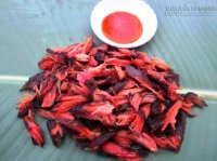 Lên Tây Bắc thưởng thức mực rừng