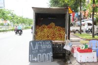 Hà Nội mở kênh phân phối vải thiều lưu động