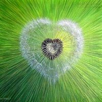 Có những người tốt bụng