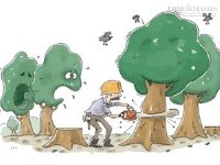 7 lý do để ủng hộ việc chặt cây ở Hà Nội