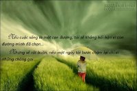 Hãy tự quẳng mình vào cuộc đời nhiều giông bão